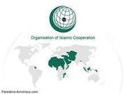 منظمة التعاون الإسلامي: الغرب يعرقل اتفاق منع ازدراء الأديان